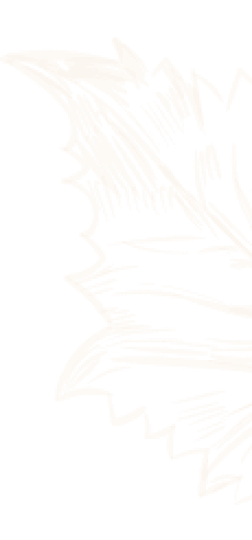 Leaf Shape